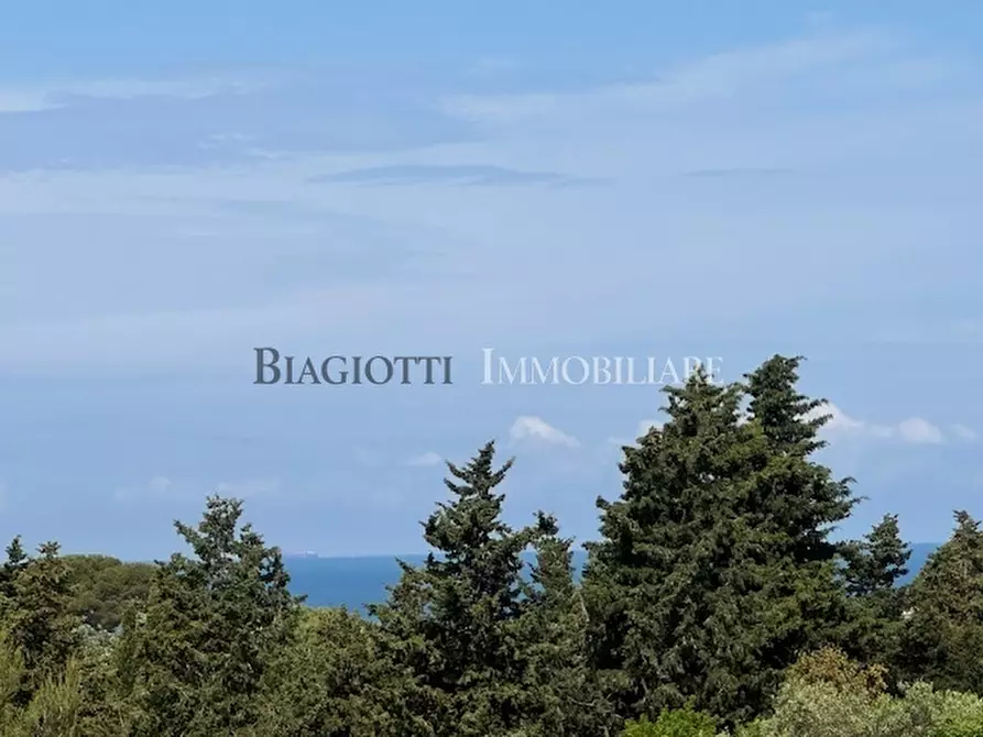 Immagine 33 di Villa in vendita  a Livorno