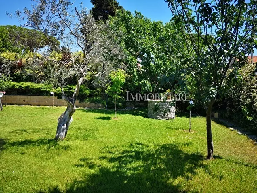 Immagine 9 di Villa in vendita  a Livorno