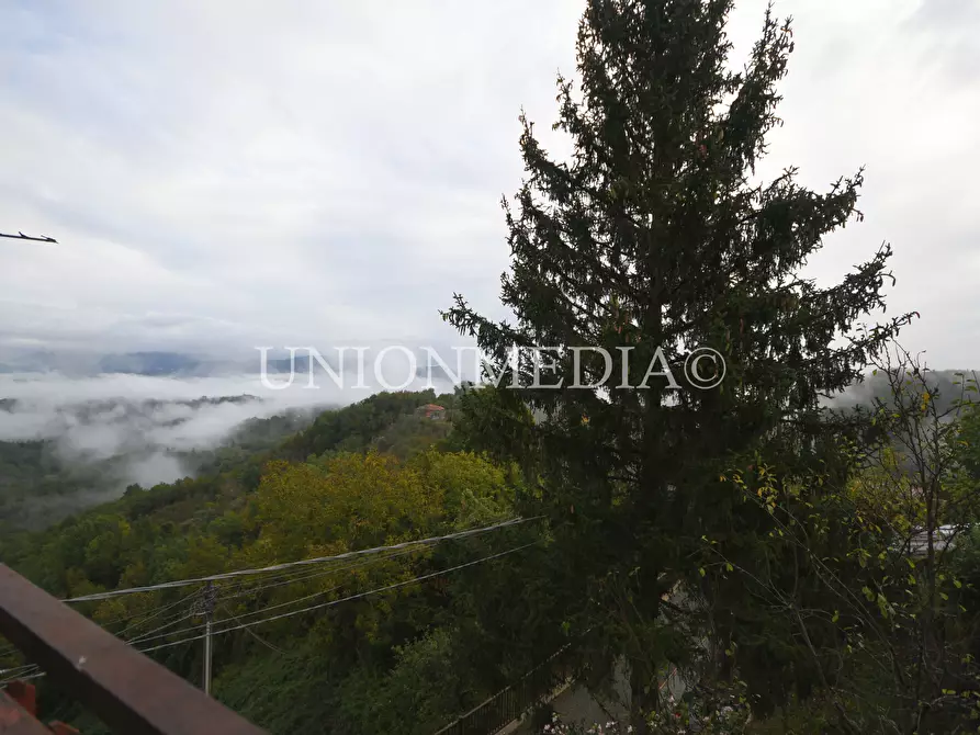 Immagine 23 di Appartamento in vendita  in tendola a Fosdinovo