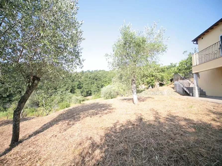 Immagine 4 di Casa indipendente in vendita  a Arcola