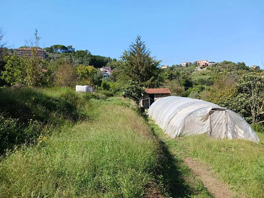 Immagine 16 di Rustico / casale in vendita  a Arcola