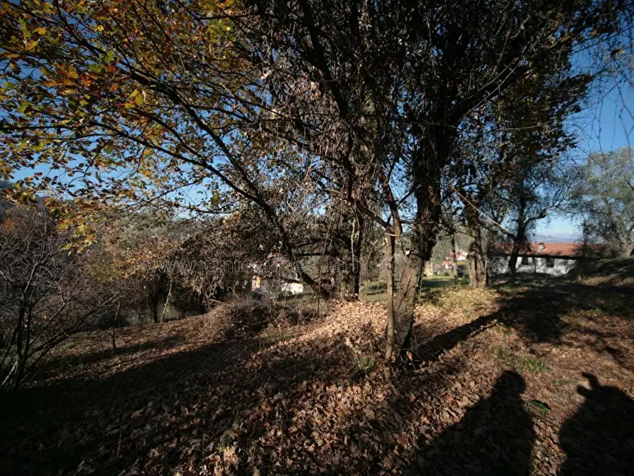 Immagine 26 di Casa indipendente in vendita  a Arcola