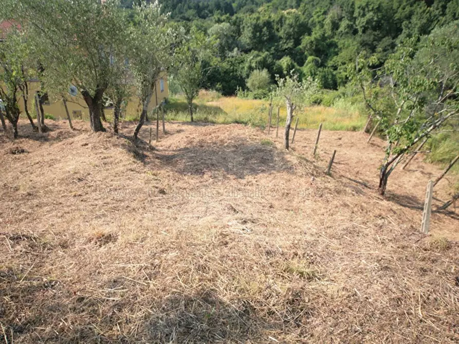 Immagine 5 di Casa indipendente in vendita  a Arcola