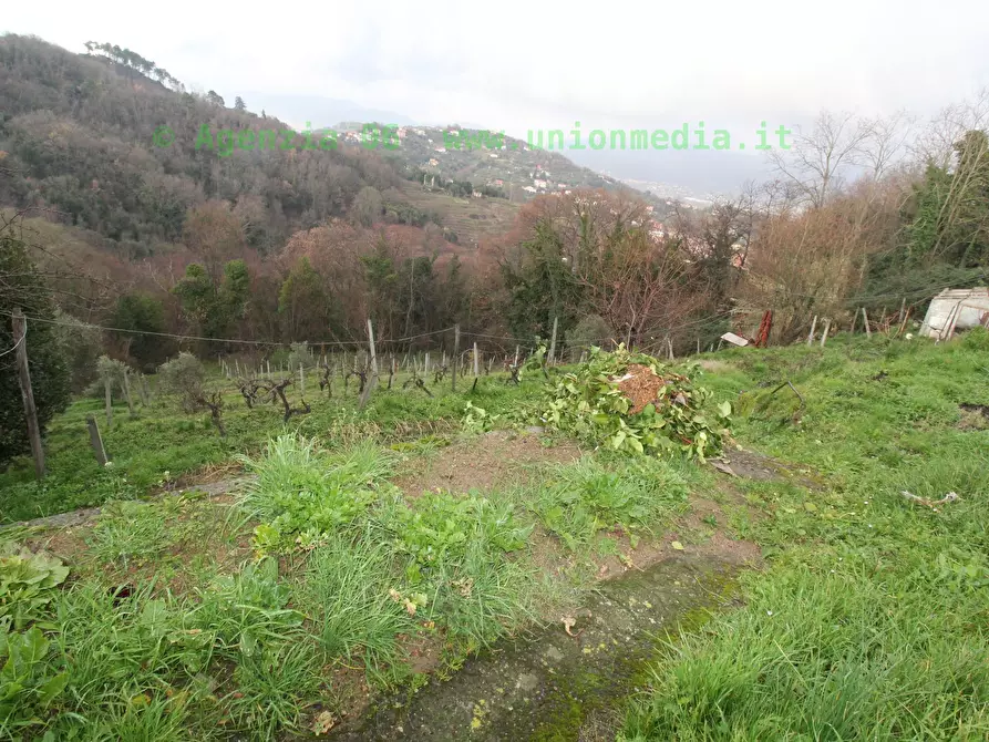 Immagine 7 di Casa indipendente in vendita  a Arcola