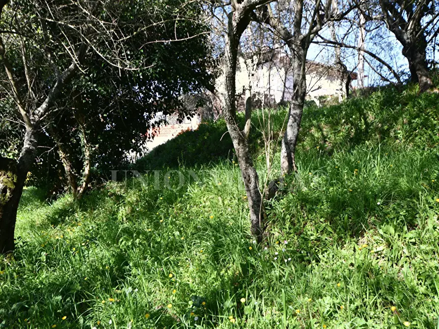 Immagine 5 di Terreno edificabile in vendita  a Ortonovo