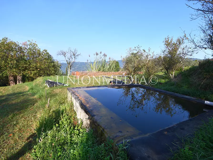 Immagine 34 di Casa indipendente in vendita  in Via boccognano a Fosdinovo