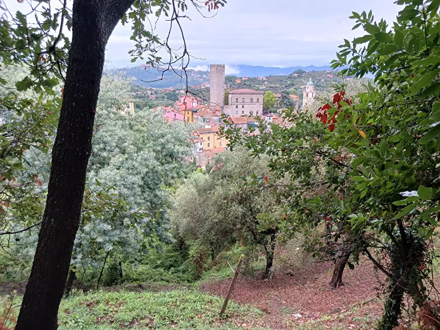 Immagine 54 di Casa indipendente in vendita  a Arcola