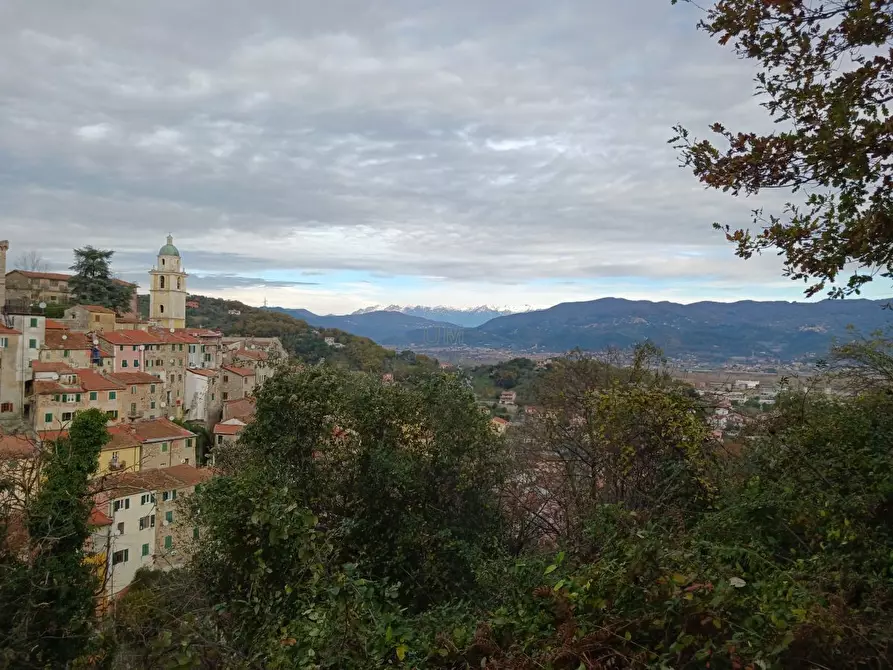 Immagine 10 di Casa indipendente in vendita  a Arcola