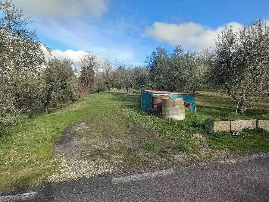 Immagine 42 di Casa indipendente in vendita  in Via Santa Cristina 137A a Rimini