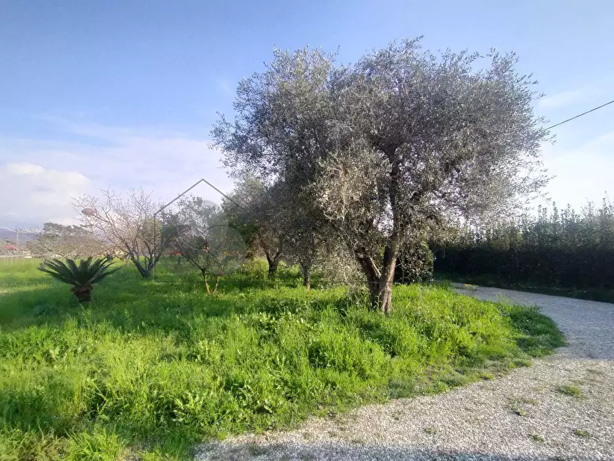 Immagine 13 di Casa indipendente in vendita  a Sarzana