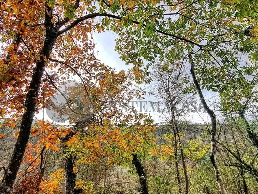 Immagine 24 di Casa semindipendente in vendita  in Via Debeduse 10 a Calice Al Cornoviglio