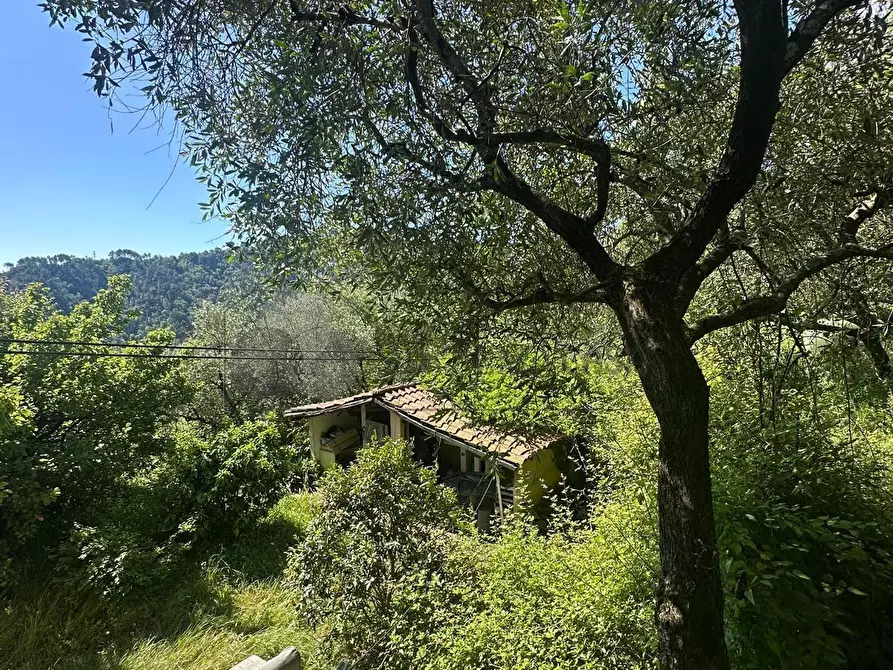 Immagine 33 di Casa indipendente in vendita  in Via San Lorenzo 20 a Follo