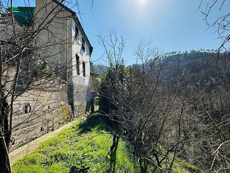 Immagine 2 di Porzione di casa in vendita  a Follo