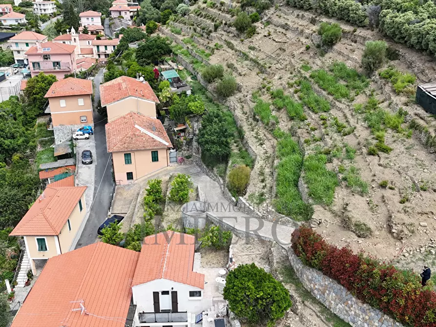 Immagine 26 di Terreno agricolo in vendita  in Via Anacleto Hughes 22/A a Ventimiglia