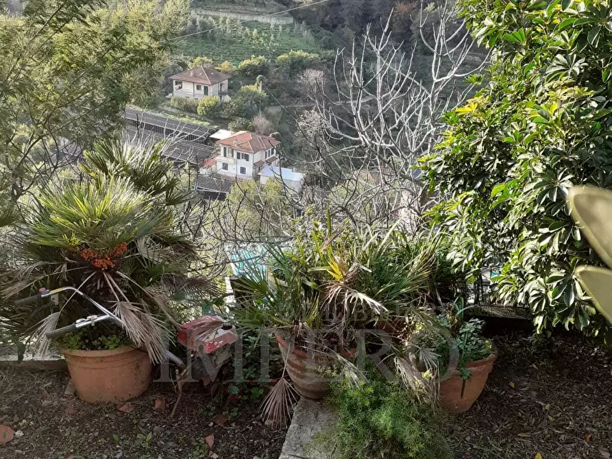 Immagine 19 di Terreno agricolo in vendita  in via provinciale 44 a San Biagio Della Cima