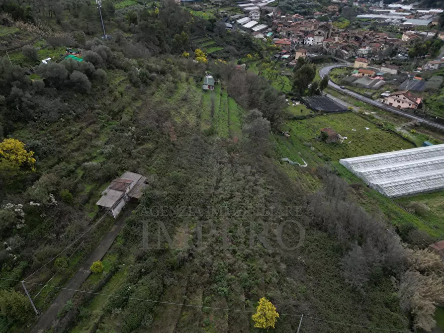 Immagine 8 di Terreno agricolo in vendita  in SP59 39 a Vallecrosia