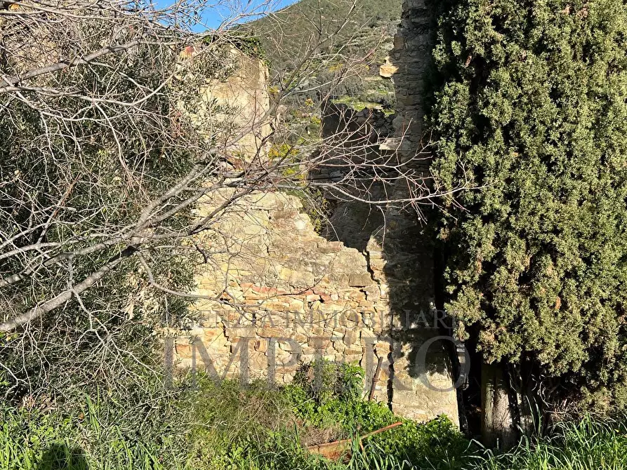 Immagine 31 di Villa in vendita  in via silvio peglio snc a Bordighera