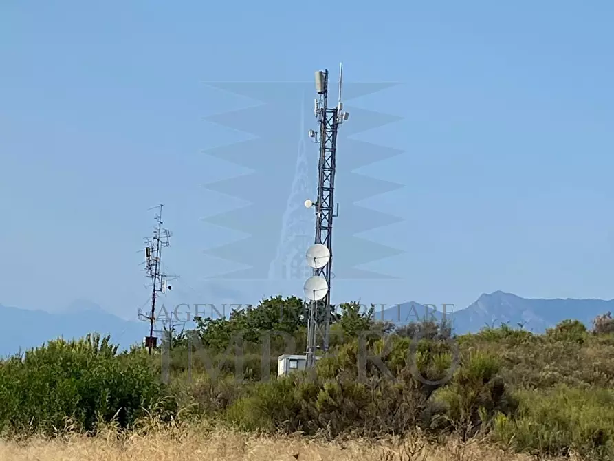 Immagine 14 di Terreno agricolo in vendita  in Via alla Stazione 40 a Ventimiglia