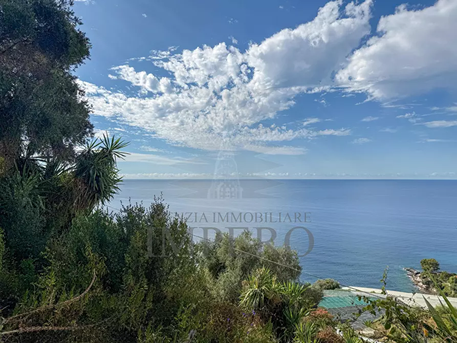 Immagine 5 di Terreno agricolo in vendita  in Corso Mentone 37 a Ventimiglia