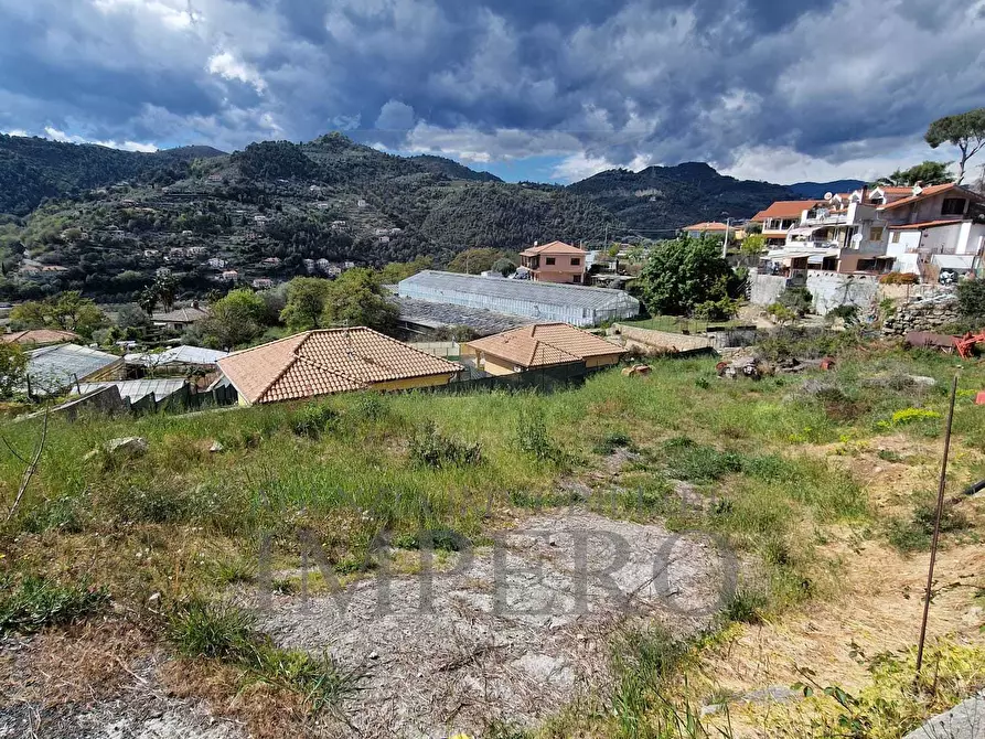 Immagine 3 di Terreno agricolo in vendita  in Via Turistica 172 a Camporosso