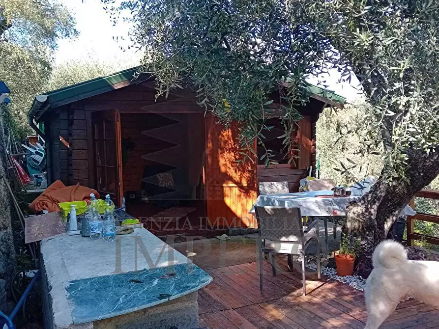 Immagine 9 di Terreno agricolo in vendita  in Via Monsignore Daffra 40 a Ventimiglia