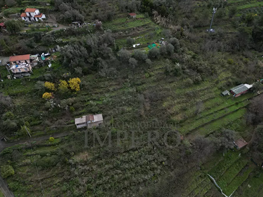 Immagine 4 di Terreno agricolo in vendita  in SP59 39 a Vallecrosia