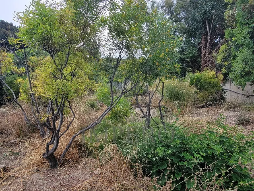 Immagine 12 di Terreno agricolo in vendita  in Via delle Otto Case 1 a Ventimiglia