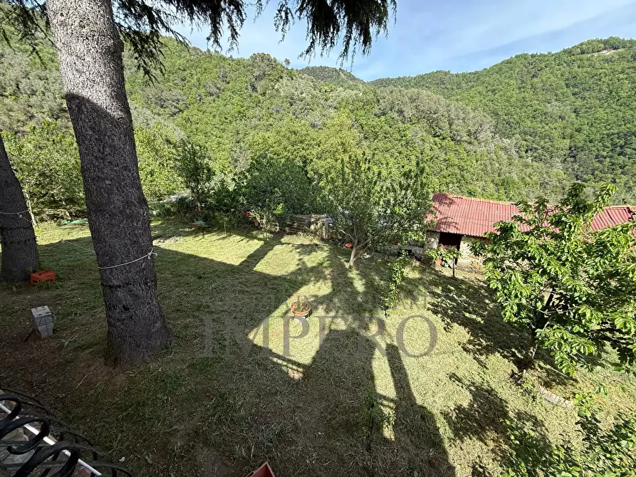 Immagine 32 di Casa indipendente in vendita  in localitò pian del soglio a Apricale