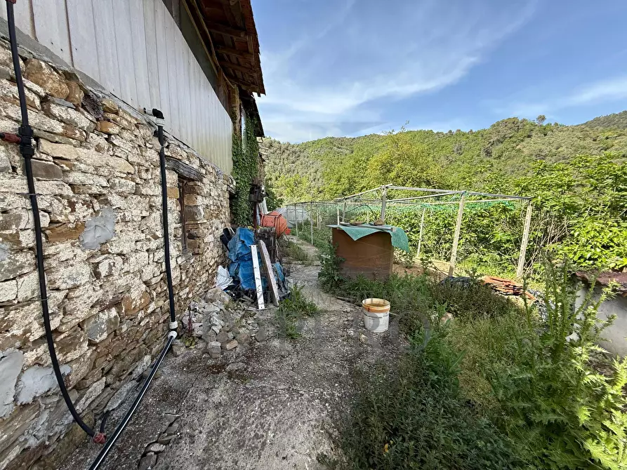Immagine 41 di Casa indipendente in vendita  in localitò pian del soglio a Apricale