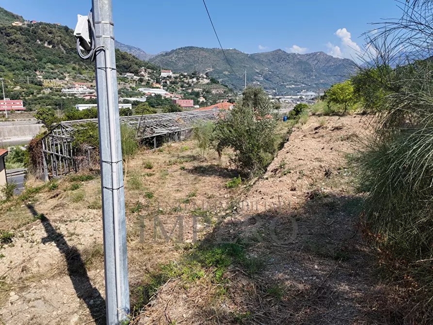 Immagine 29 di Terreno agricolo in vendita  in Corso Limone Piemonte a Ventimiglia