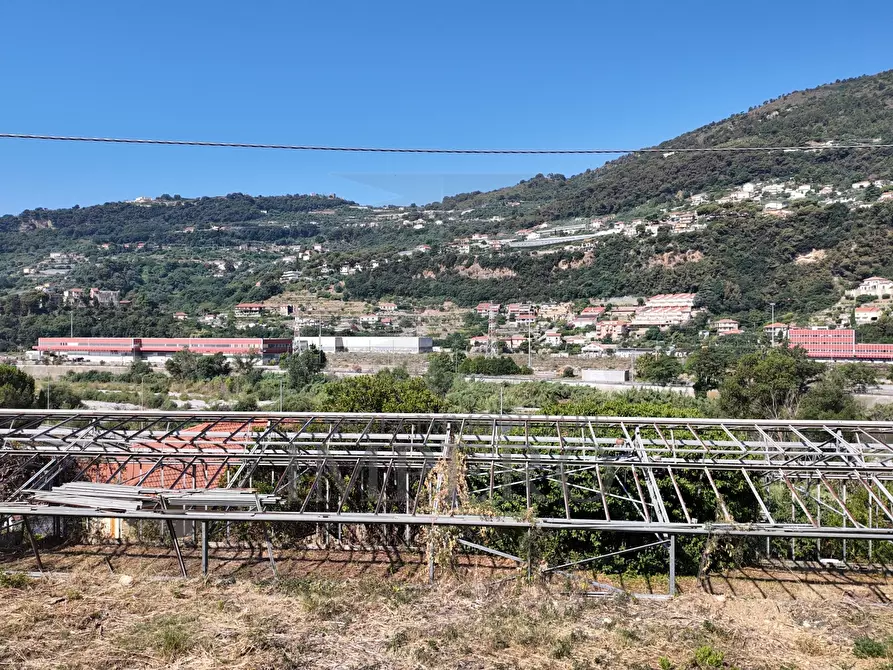 Immagine 9 di Terreno agricolo in vendita  in Corso Limone Piemonte a Ventimiglia