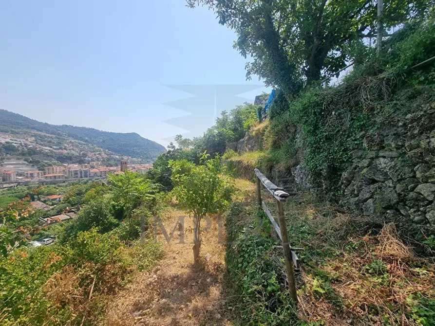 Immagine 5 di Terreno agricolo in vendita  in Via Daffra 20 a Ventimiglia