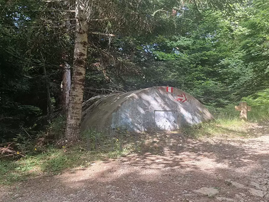 Immagine 16 di Baita in vendita  in Alta Via dei Monti Liguri 11 a Rocchetta Nervina