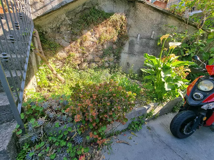 Immagine 24 di Porzione di casa in vendita  in Via Poggio Ponente 5 a Vallecrosia