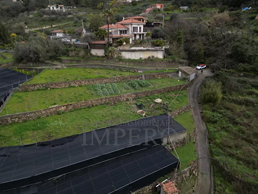 Immagine 10 di Terreno agricolo in vendita  in SP59 39 a Vallecrosia