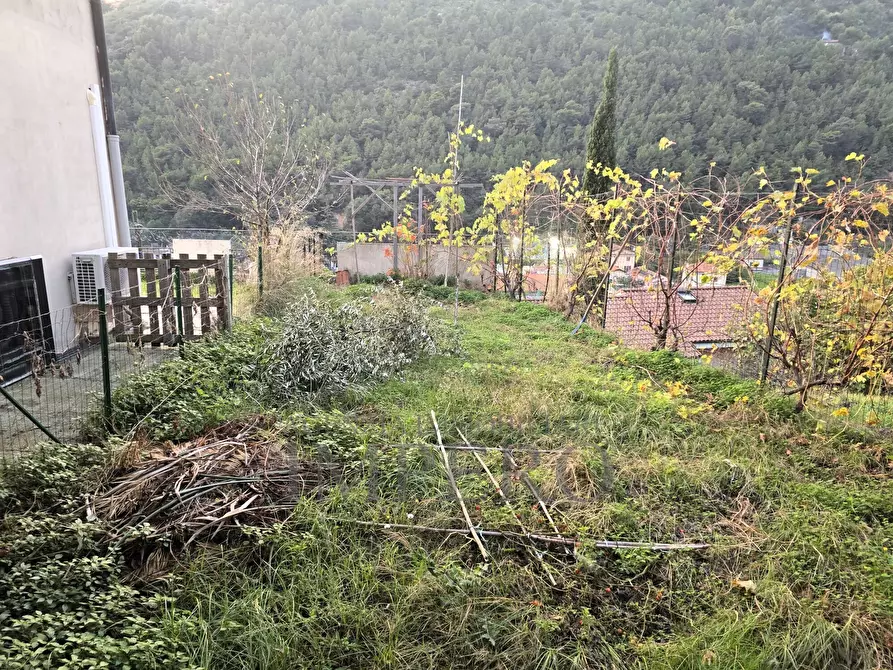 Immagine 32 di Villa in vendita  in via Roma traversa prima 1 a Vallecrosia