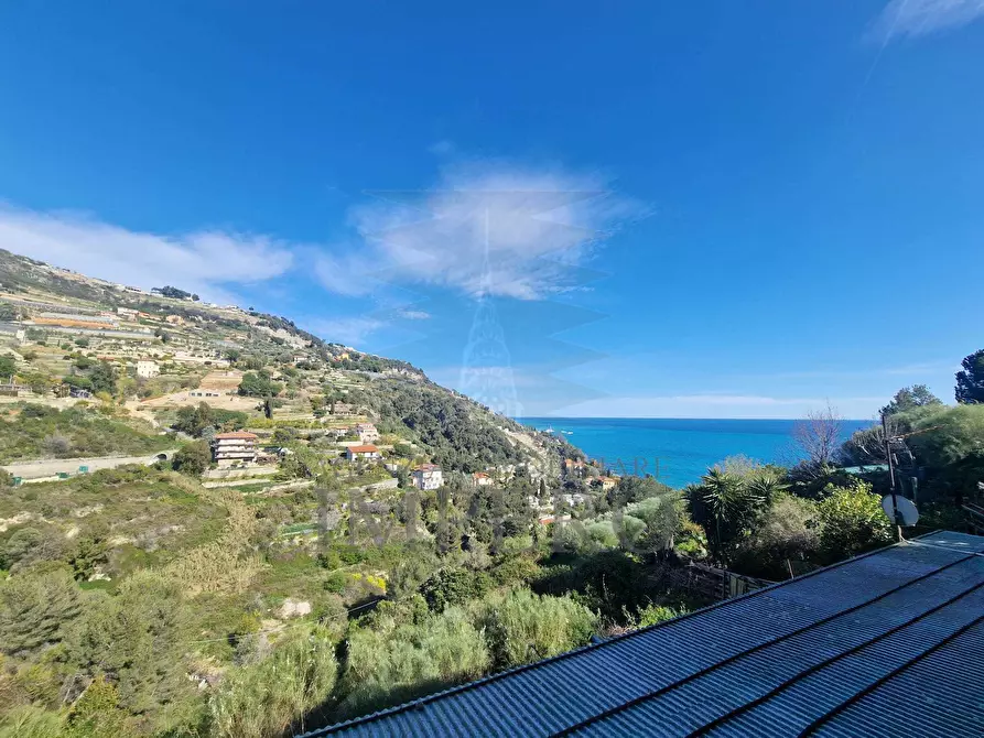 Immagine 25 di Villa in vendita  in Via M.Buonarroti 27 a Ventimiglia