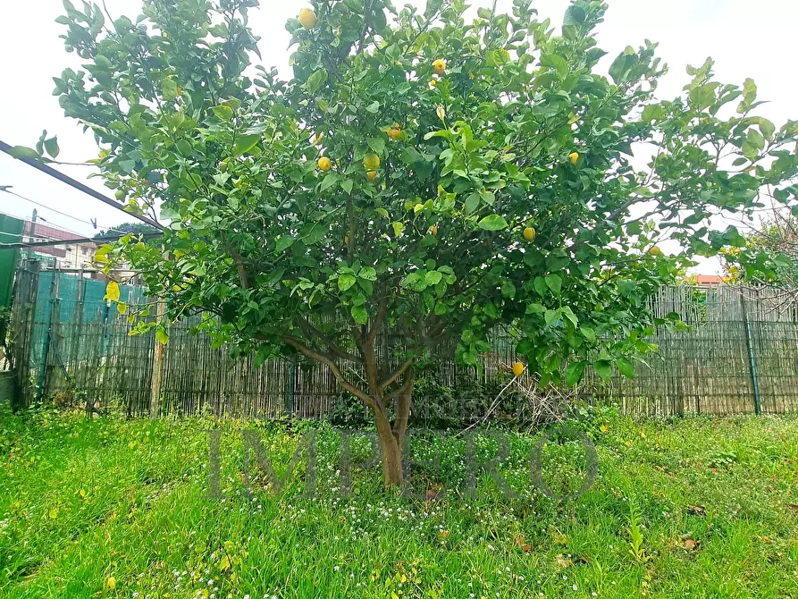 Immagine 26 di Casa indipendente in vendita  in Via alla Spiaggia 21 a Ventimiglia