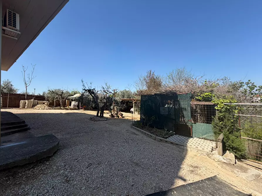 Immagine 57 di Casa indipendente in vendita  in VIALE MAIELLA a Chieti