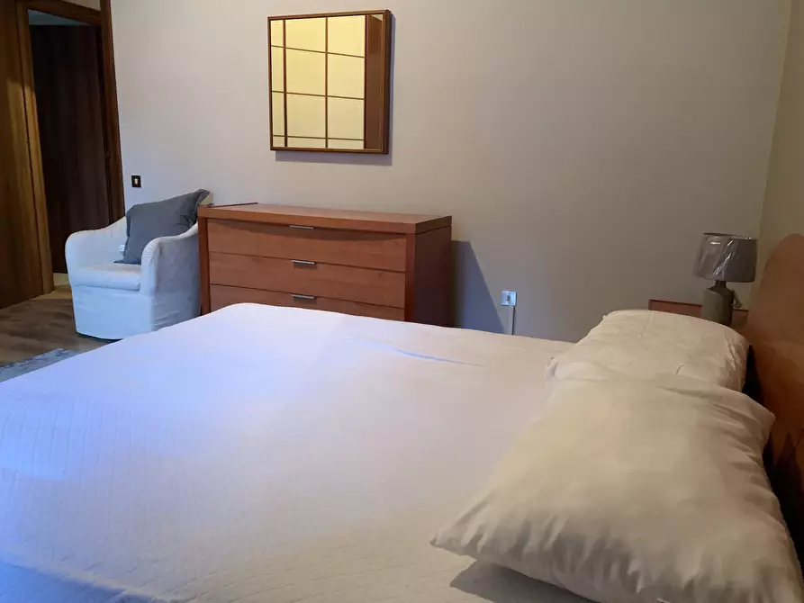 Immagine 12 di Trilocale in affitto  a Francavilla Al Mare