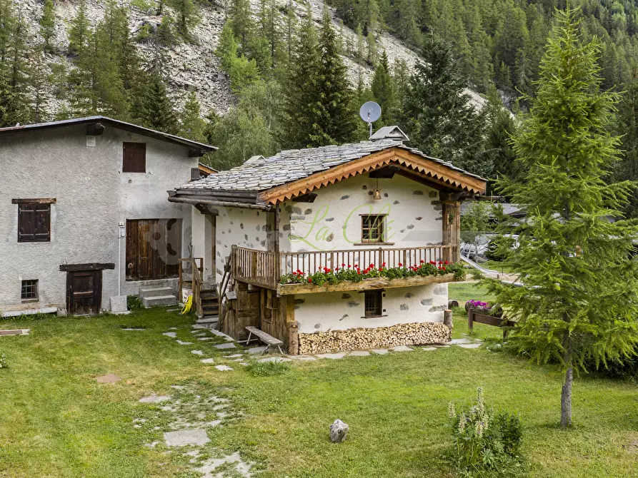 Immagine 17 di Baita in affitto  in Località Peuterey 15 a Courmayeur