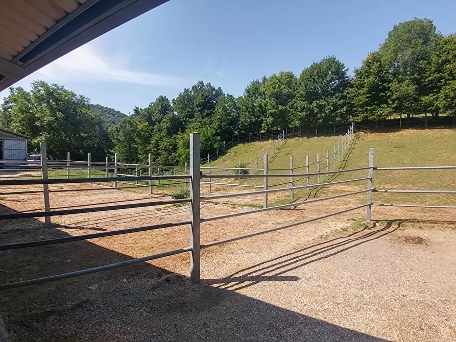 Immagine 38 di Rustico / casale in vendita  in Via Vignolese 1534 a Zocca