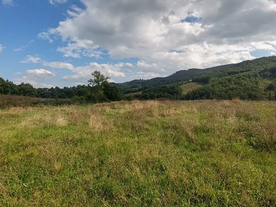 Immagine 38 di Rustico / casale in vendita  in via Selve 3205 a Zocca