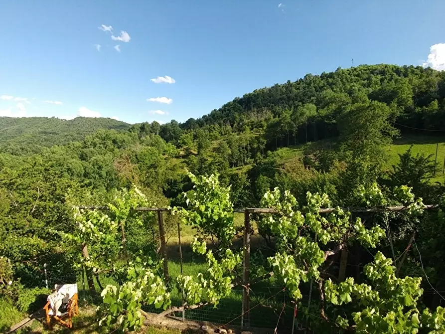Immagine 39 di Rustico / casale in vendita  in via Canobbi 14 a Castel D'aiano