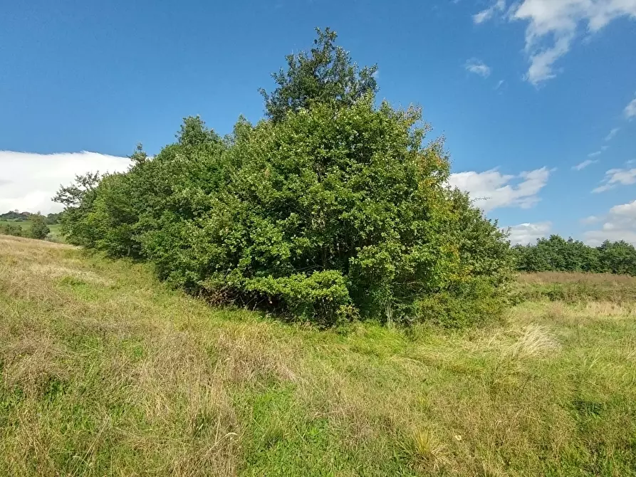 Immagine 37 di Rustico / casale in vendita  in via Selve 3205 a Zocca