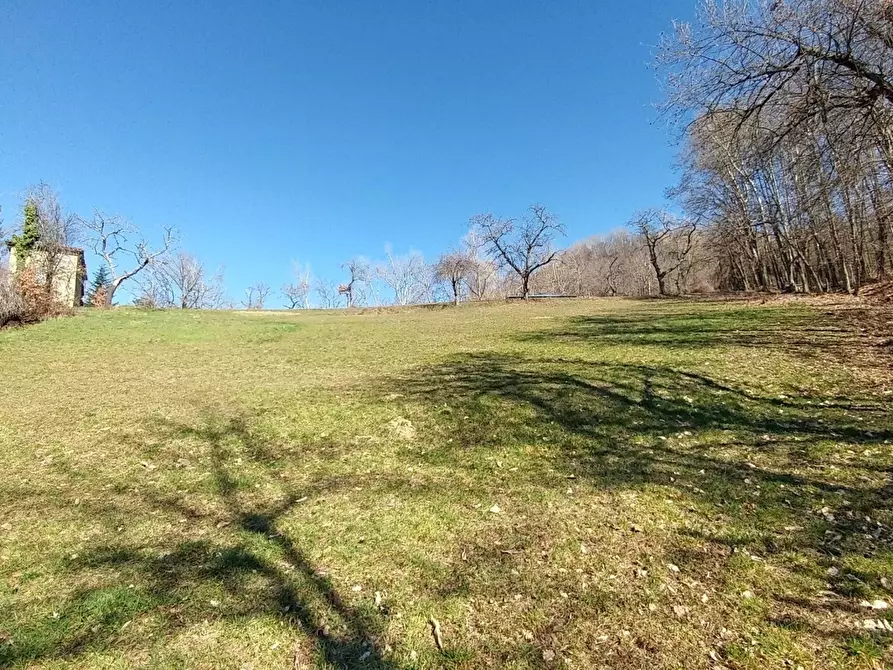 Immagine 14 di Rustico / casale in vendita  a Zocca