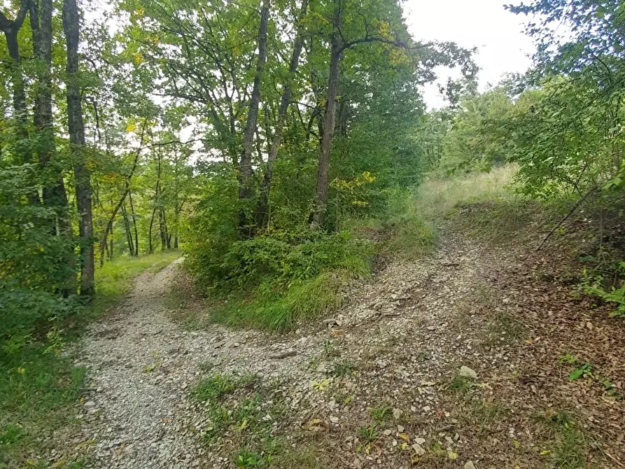 Immagine 24 di Rustico / casale in vendita  in via Selve 3205 a Zocca