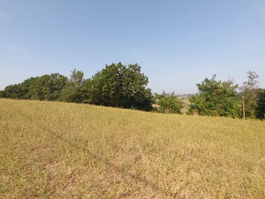 Immagine 30 di Rustico / casale in vendita  in Via Castello 45 a Monte San Pietro