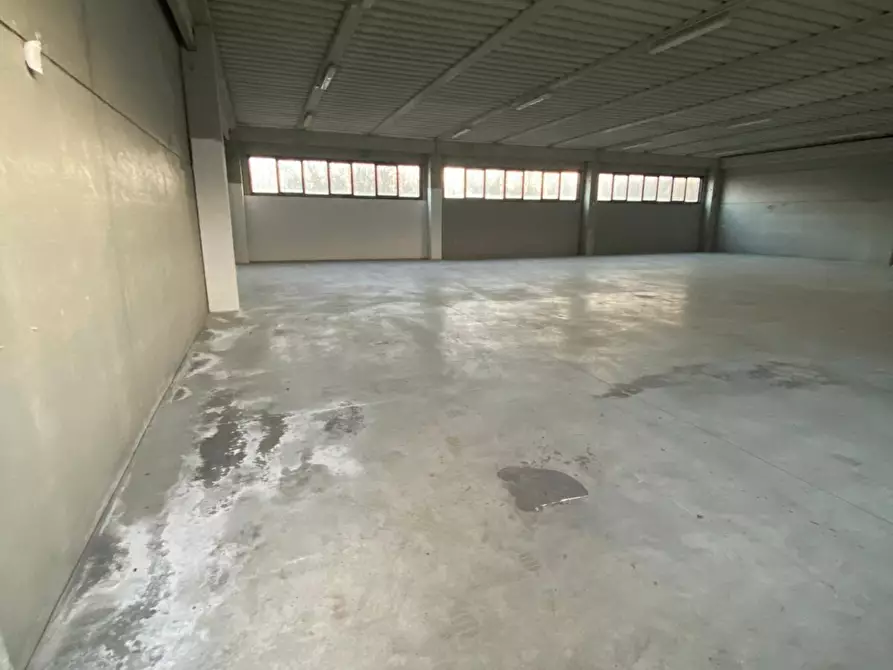 Immagine 3 di Magazzino in vendita  a Rovigo