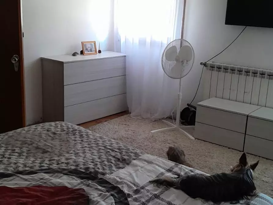 Immagine 15 di Casa indipendente in vendita  a Frassinelle Polesine